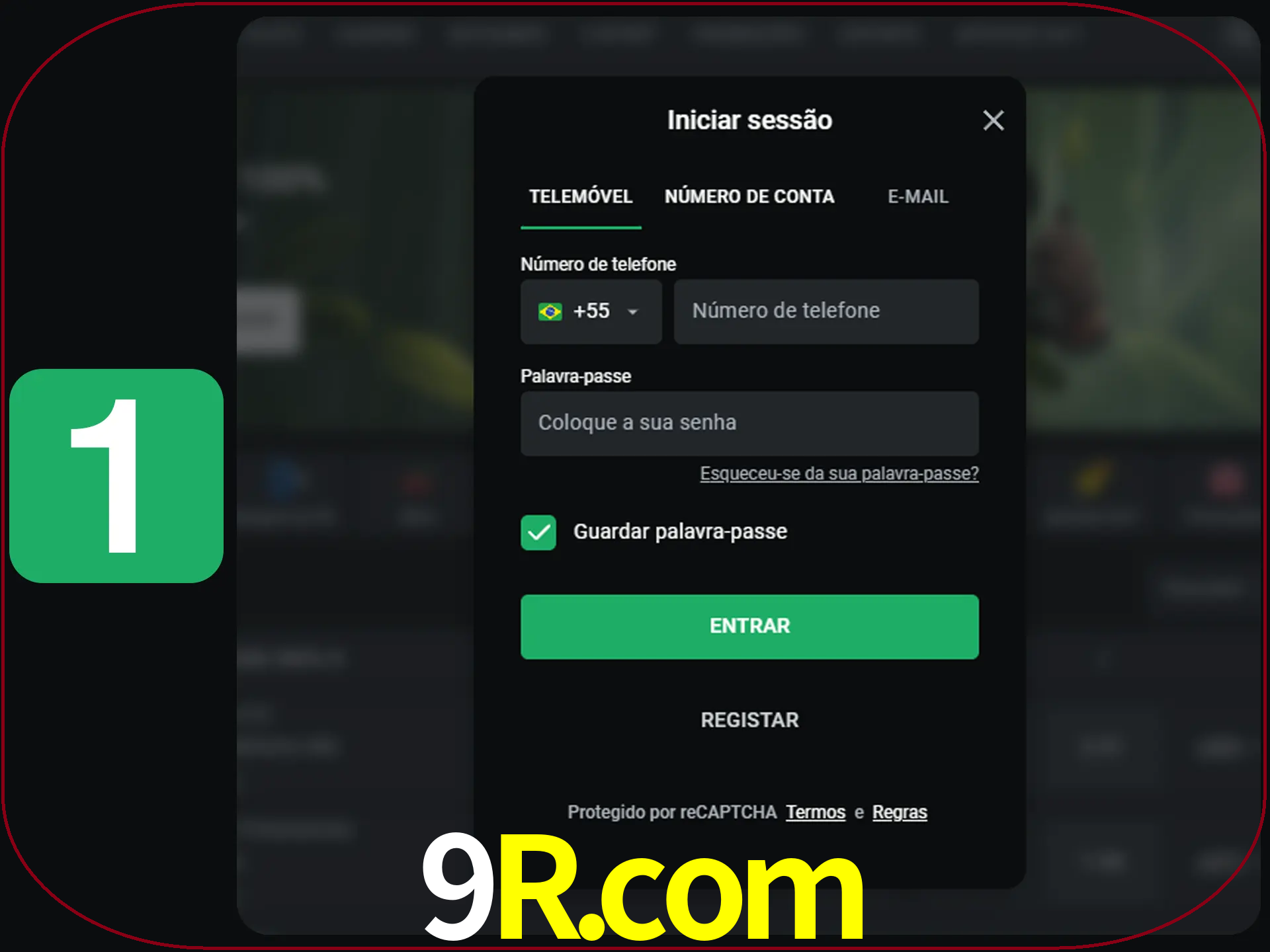 Clique no botão Entrar.